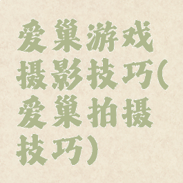 爱巢游戏摄影技巧(爱巢拍摄技巧)