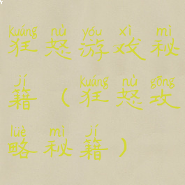 狂怒游戏秘籍(狂怒攻略秘籍)