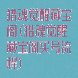 猎魂觉醒藏宝阁(猎魂觉醒藏宝阁买号流程)