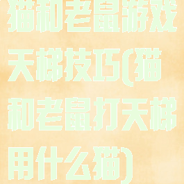 猫和老鼠游戏天梯技巧(猫和老鼠打天梯用什么猫)