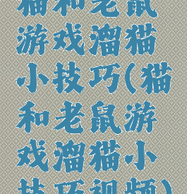 猫和老鼠游戏溜猫小技巧(猫和老鼠游戏溜猫小技巧视频)