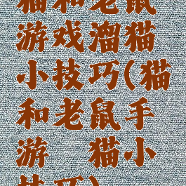 猫和老鼠游戏溜猫小技巧(猫和老鼠手游遛猫小技巧)