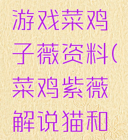 猫和老鼠游戏菜鸡子薇资料(菜鸡紫薇解说猫和老鼠手游)