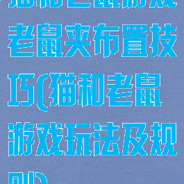 猫和老鼠游戏老鼠夹布置技巧(猫和老鼠游戏玩法及规则)