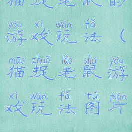 猫捉老鼠的游戏玩法(猫捉老鼠游戏玩法图片)