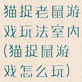 猫捉老鼠游戏玩法室内(猫捉鼠游戏怎么玩)