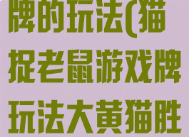 猫捉老鼠游戏牌的玩法(猫捉老鼠游戏牌玩法大黄猫胜一切)