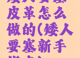 矮人要塞皮革怎么做的(矮人要塞新手指南)
