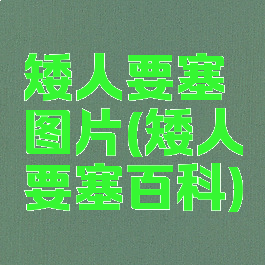 矮人要塞图片(矮人要塞百科)
