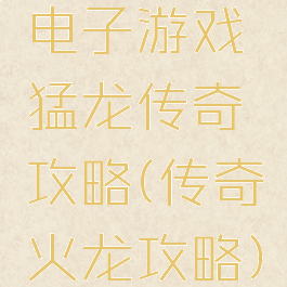 电子游戏猛龙传奇攻略(传奇火龙攻略)
