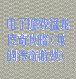 电子游戏猛龙传奇攻略(龙的传奇游戏)