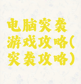 电脑突袭游戏攻略(突袭攻略)