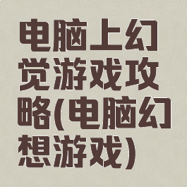 电脑上幻觉游戏攻略(电脑幻想游戏)