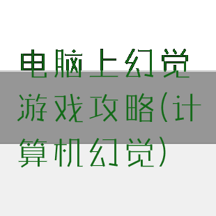 电脑上幻觉游戏攻略(计算机幻觉)