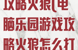电脑乐园游戏攻略火狼(电脑乐园游戏攻略火狼怎么打)