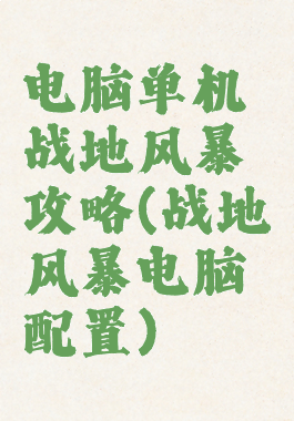 电脑单机战地风暴攻略(战地风暴电脑配置)