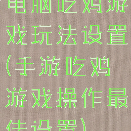 电脑吃鸡游戏玩法设置(手游吃鸡游戏操作最佳设置)