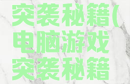 电脑游戏突袭秘籍(电脑游戏突袭秘籍怎么打)