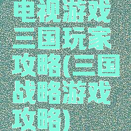 电视游戏三国玩家攻略(三国战略游戏攻略)