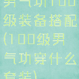 男气功100级装备搭配(100级男气功穿什么套装)