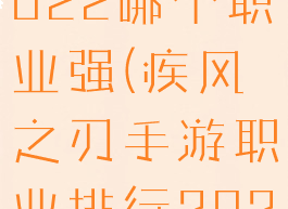 疾风之刃2022哪个职业强(疾风之刃手游职业排行2020)
