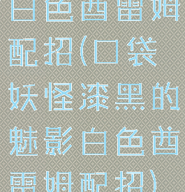 白色酋雷姆配招(口袋妖怪漆黑的魅影白色酋雷姆配招)