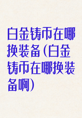 白金铸币在哪换装备(白金铸币在哪换装备啊)