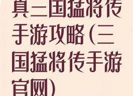 真三国猛将传手游攻略(三国猛将传手游官网)