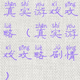 真实游戏攻略(真实游戏攻略剧情)
