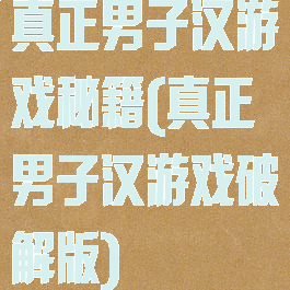真正男子汉游戏秘籍(真正男子汉游戏破解版)