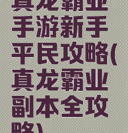 真龙霸业手游新手平民攻略(真龙霸业副本全攻略)