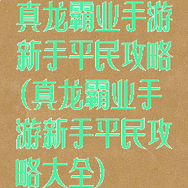 真龙霸业手游新手平民攻略(真龙霸业手游新手平民攻略大全)