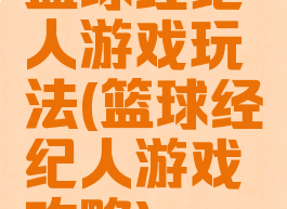 篮球经纪人游戏玩法(篮球经纪人游戏攻略)