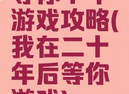 等你十年游戏攻略(我在二十年后等你游戏)