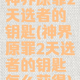 神界原罪2天选者的钥匙(神界原罪2天选者的钥匙怎么获得)