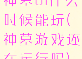 神墓ol什么时候能玩(神墓游戏还在运行吗)