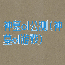 神墓ol公测(神墓ol游戏)