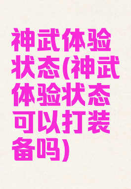 神武体验状态(神武体验状态可以打装备吗)