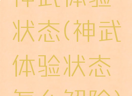 神武体验状态(神武体验状态怎么解除)