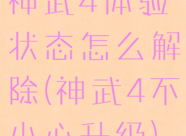神武4体验状态怎么解除(神武4不小心升级)