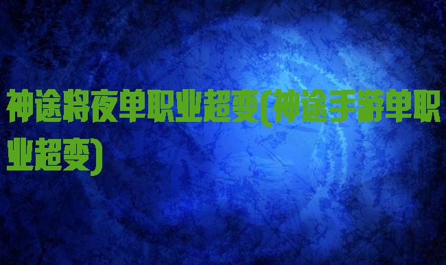神途将夜单职业超变(神途手游单职业超变)