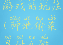 种菜偷菜小游戏的玩法(种地偷菜是什么游戏)