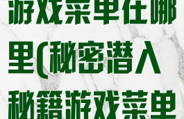 秘密潜入秘籍游戏菜单在哪里(秘密潜入秘籍游戏菜单在哪里打开)