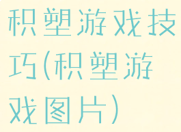 积塑游戏技巧(积塑游戏图片)