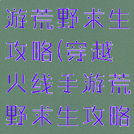 穿越火线手游荒野求生攻略(穿越火线手游荒野求生攻略图)