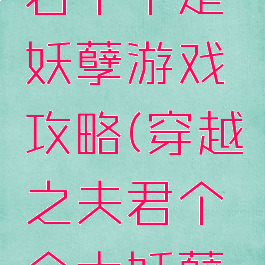 穿越之夫君个个是妖孽游戏攻略(穿越之夫君个个太妖孽免费阅读)