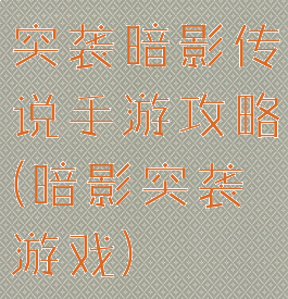 突袭暗影传说手游攻略(暗影突袭游戏)