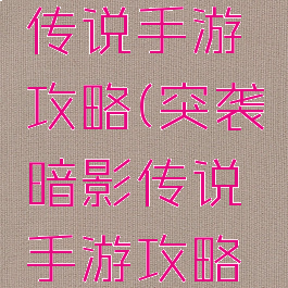 突袭暗影传说手游攻略(突袭暗影传说手游攻略视频)