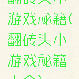 翻砖头小游戏秘籍(翻砖头小游戏秘籍大全)