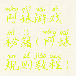 网球游戏秘籍(网球规则教程)